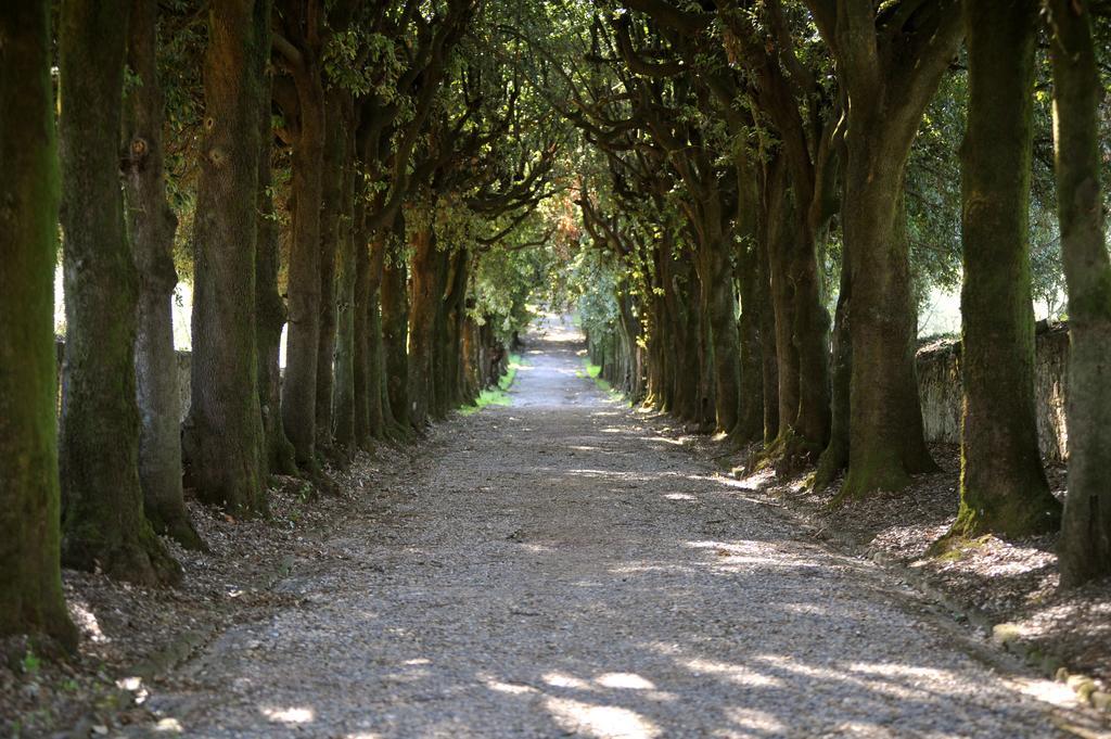 Villa Rospigliosi Lamporecchio Dış mekan fotoğraf